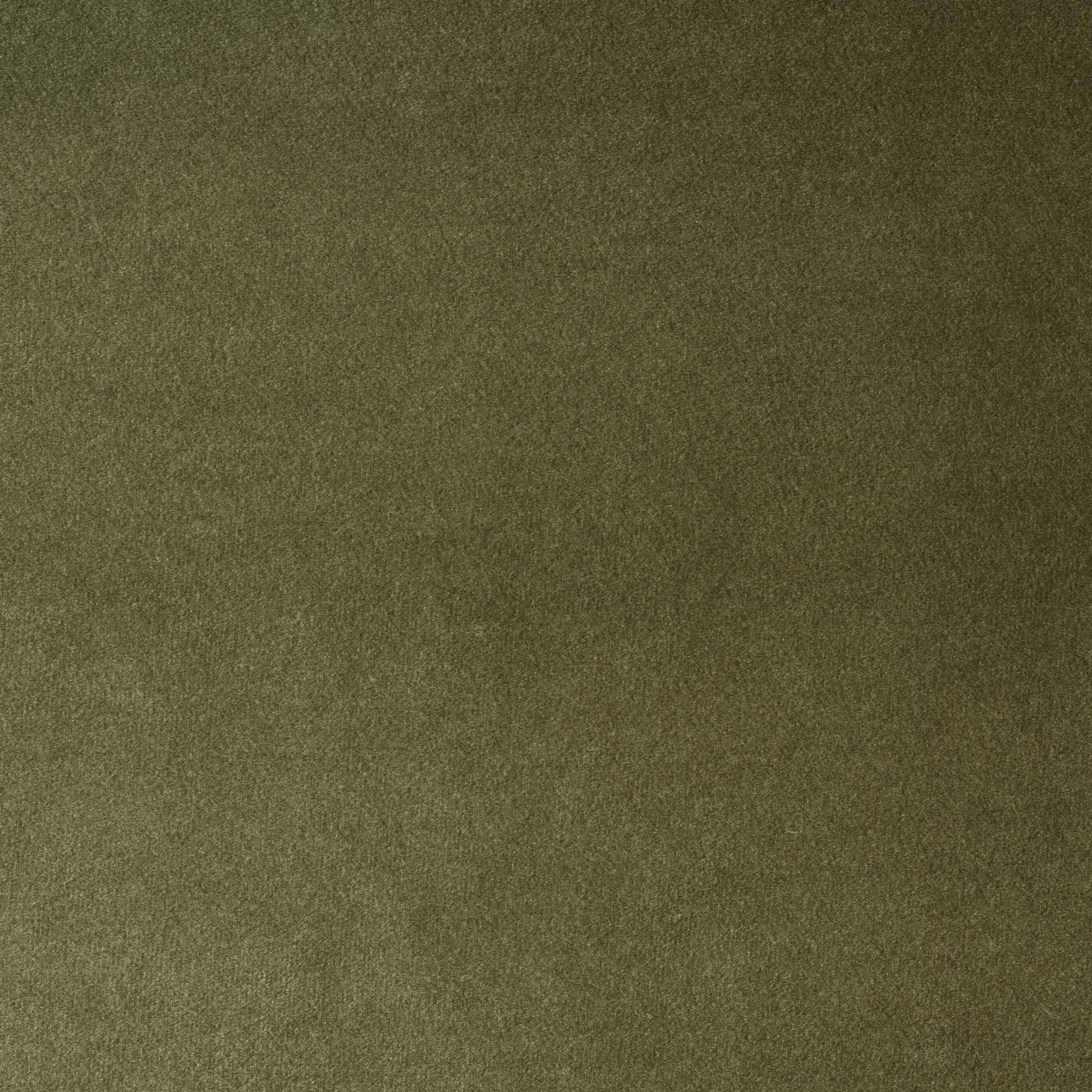 Salvador Moosgrün 8